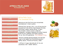 Tablet Screenshot of africafelix.com